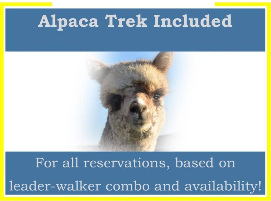 The Alpaca Farmhouse With Hot Tub And Alpaca Experience Included Dromara Exterior foto