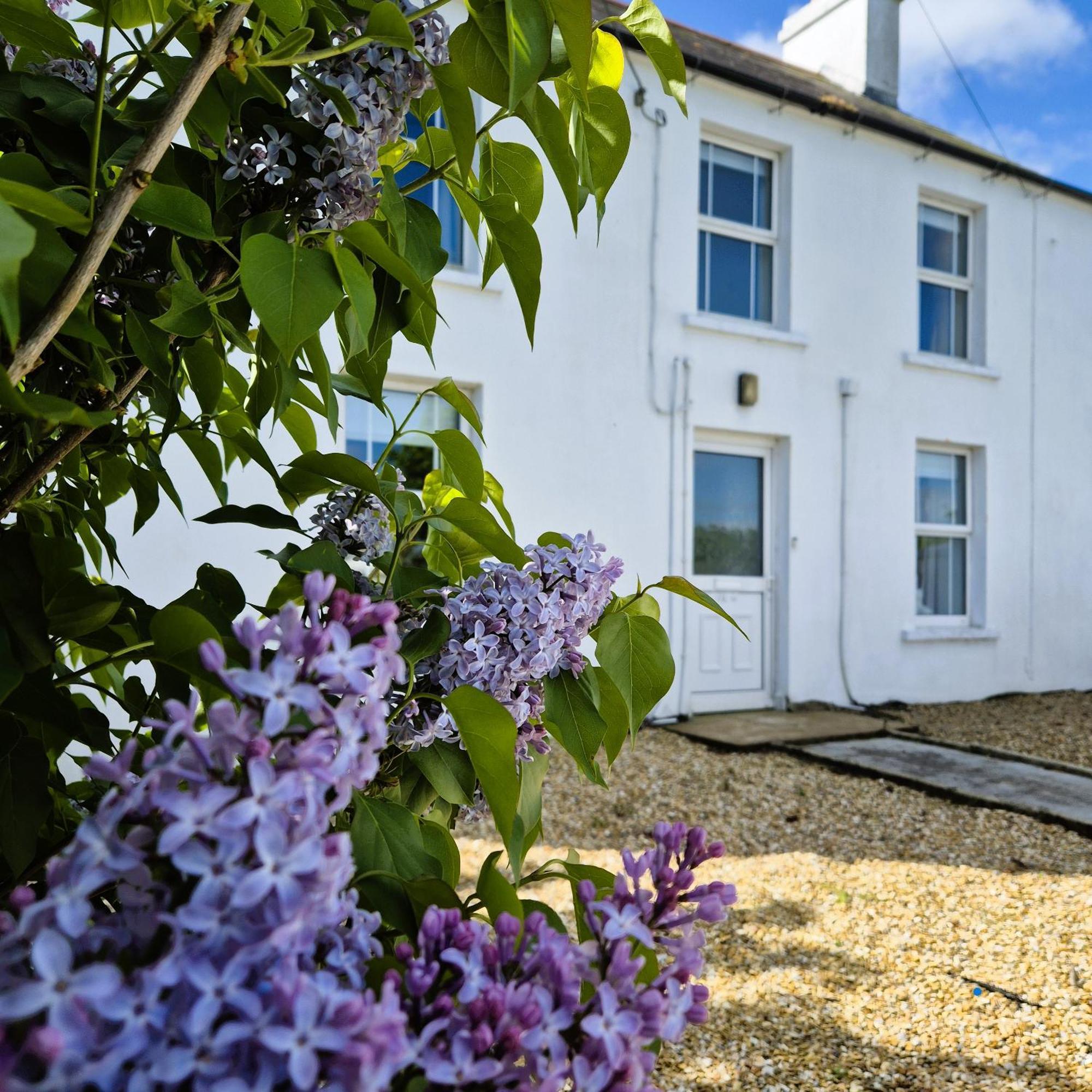 The Alpaca Farmhouse With Hot Tub And Alpaca Experience Included Dromara Exterior foto